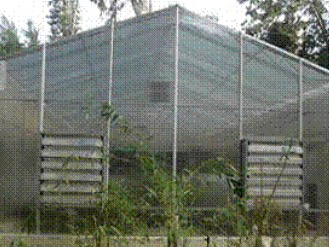 Outer view of green house