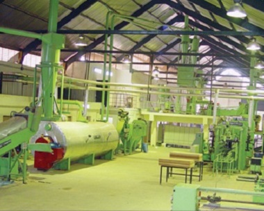 Particle Board Plant